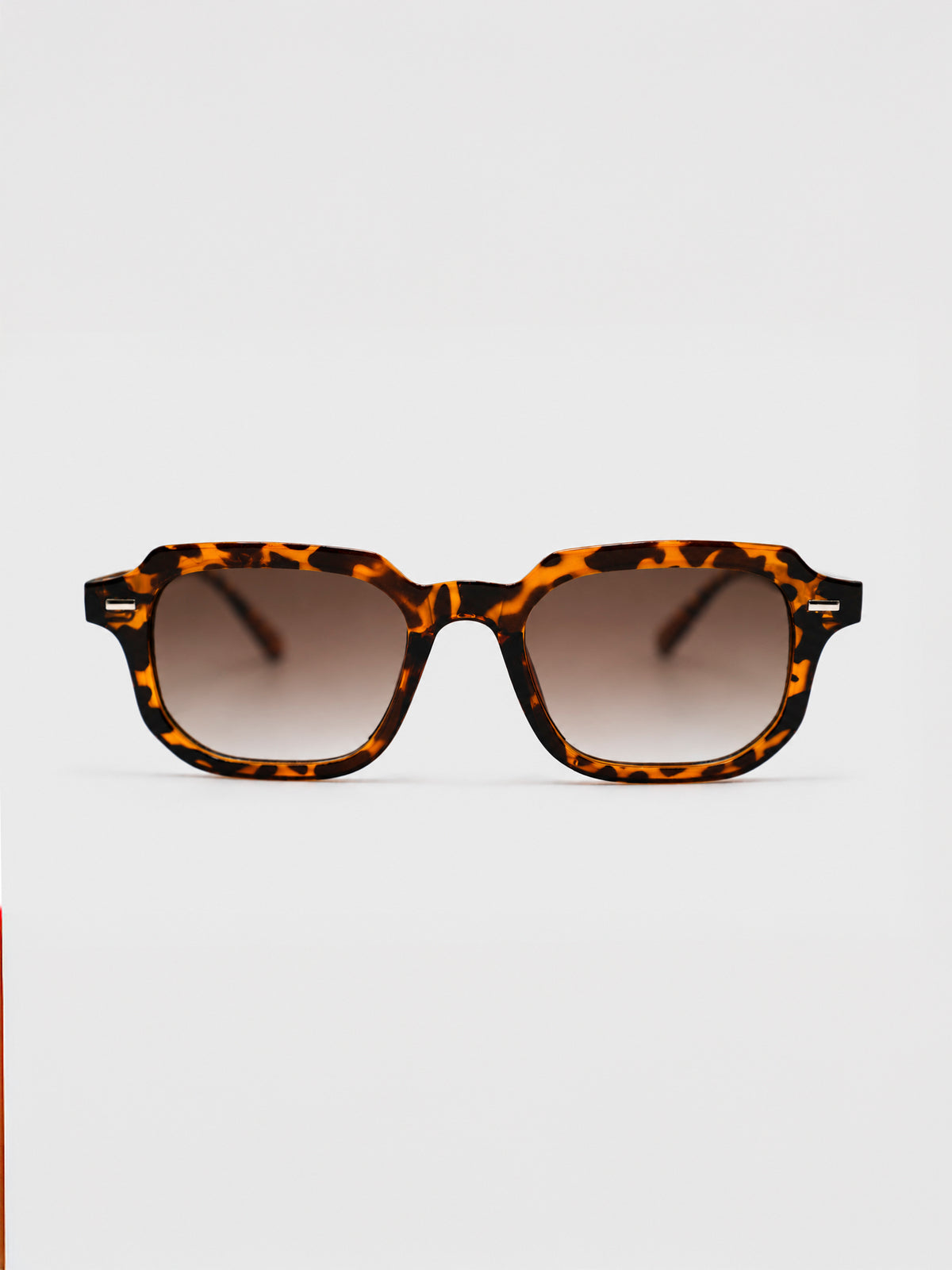 sunglasses / Brown Lior Sunglasses