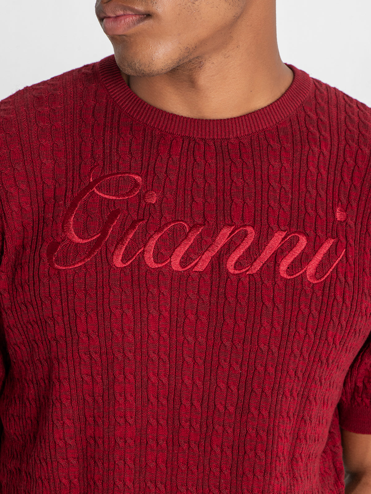 t-shirts / Burgundy Gianni Knit Tee