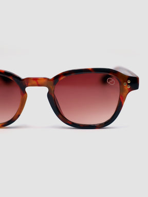 sunglasses / Brown Cirel Sunglasses