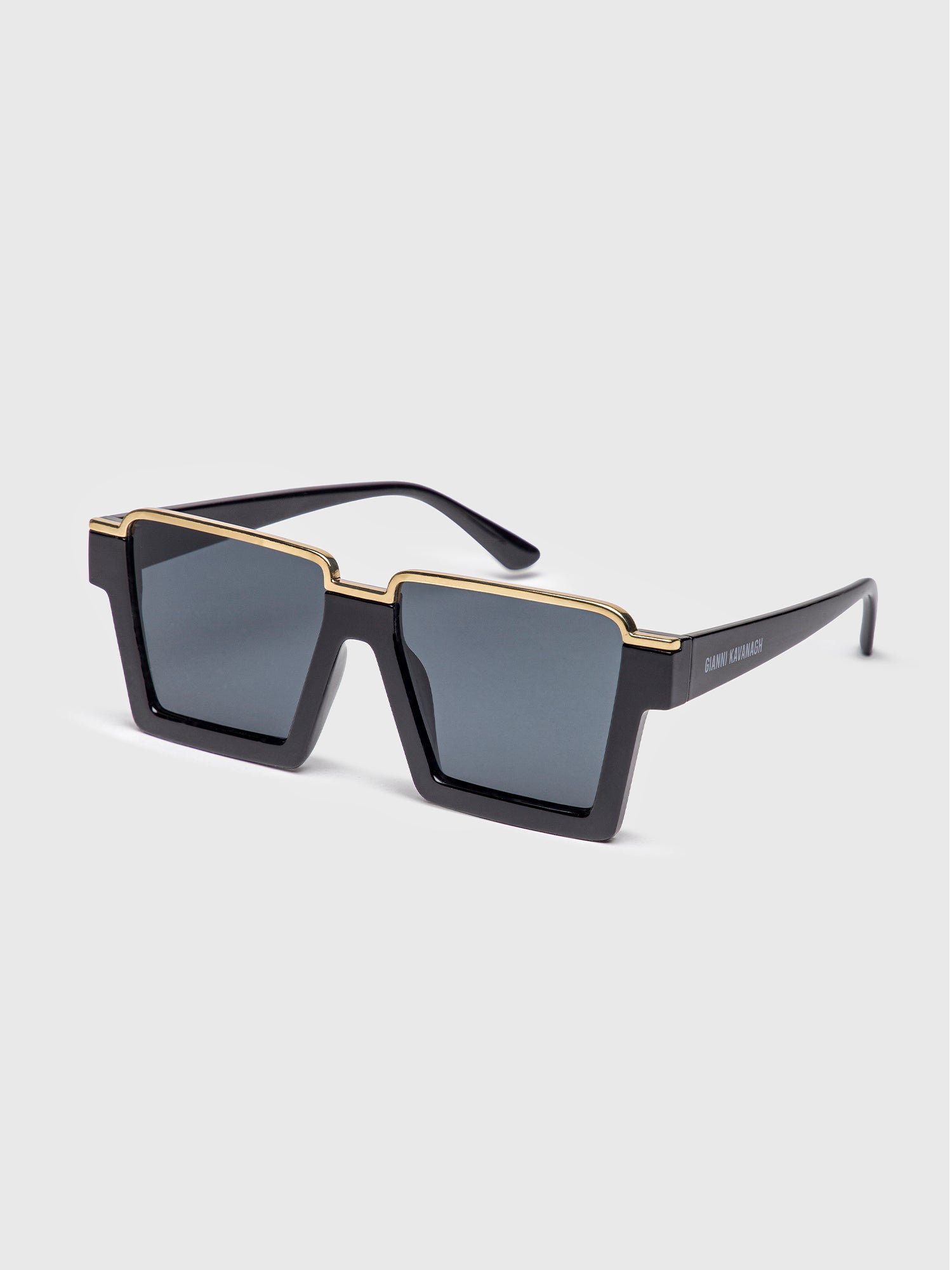 sunglasses / Black Visionary Sunglasses